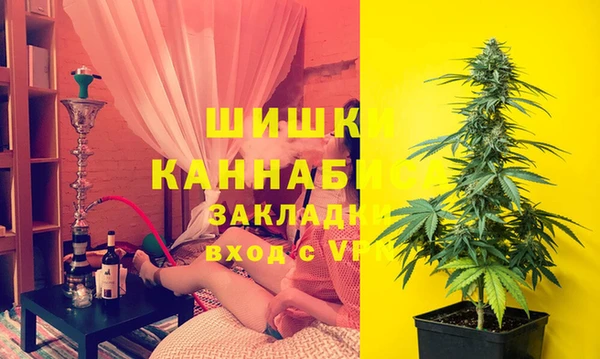 бошки Гусев