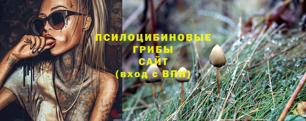 бошки Гусев