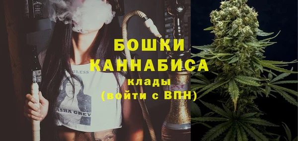 jwh Гусь-Хрустальный