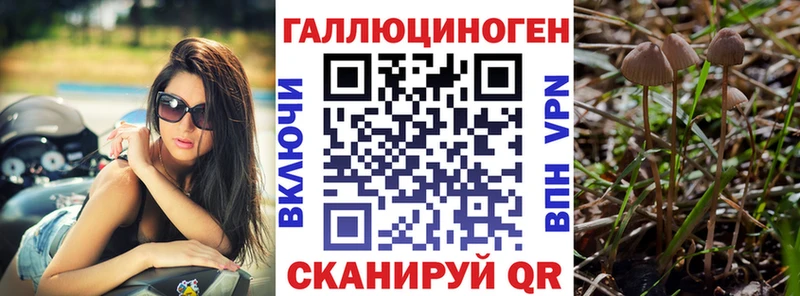 MEGA ONION  Обоянь  Галлюциногенные грибы Cubensis 